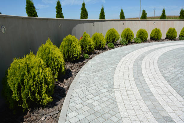 Best Custom Driveway Pavers  in Storm Lake, IA