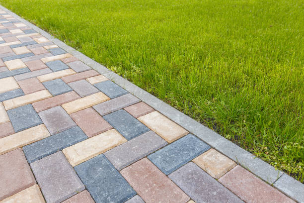 Best Residential Paver Driveway  in Storm Lake, IA